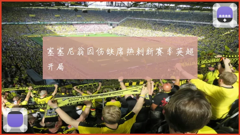 塞塞尼翁因伤缺席热刺新赛季英超开局