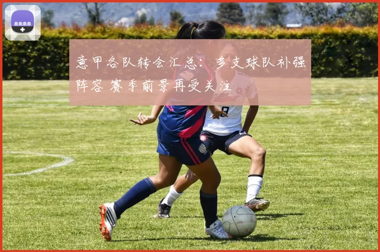 意甲各队转会汇总:多支球队补强阵容 赛季前景再受关注