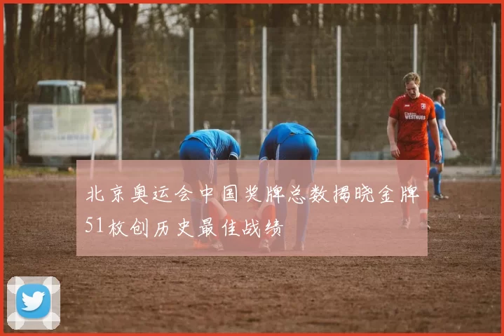 北京奥运会中国奖牌总数揭晓金牌51枚创历史最佳战绩