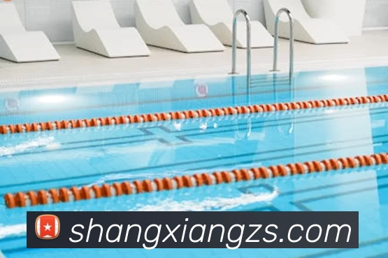 App Interface Preview